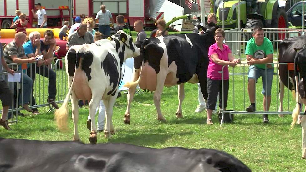 Kampioenschap midden - Dierenshow Drenthe 2013 - Melkvee.nl