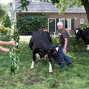 Even dacht het gezelschap de krans bij Dien 28 te kunnen omhangen. Hollander (midden) heeft het nakijken.