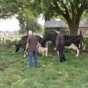 De kleinste hoek van het weiland lijkt de heren het meest geschikt voor de huldiging.