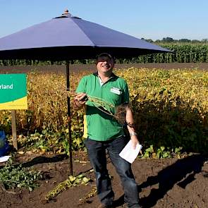 Een beginnersfout die reeds gemaakt is, is de soja op een slecht perceel uit te proberen: „Dat werkt natuurlijk ook bij sojabonen niet”, lacht een aanwezige melkveehouder. Het land moet vlak zijn voor precisiezaai en zodat de combine ook de onderste centi