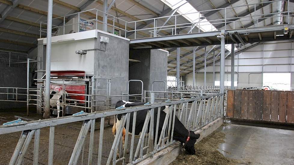 Via een breed looppad kunnen de koeien van het strohok naar de melkrobot en terug gedreven worden. In de toekomst wordt dit pad ook gebruikt om de koeien naar buiten te doen. Boven het looppad bevindt zich een loopbrug; de dagelijkse schone route voor Fle