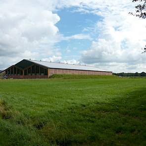 De nieuwe kalverstal voor 1.600 rosés in Uddel van de familie Kroes is een opvallende verschijning in het landschap.