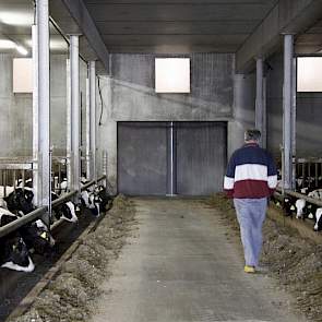 Achterin iedere kalverafdeling zijn ventilatiegaten gemaakt. De warme lucht uit de afdelingen belandt via deze gaten in de onderdrukkamer. Vervolgens zorgen ventilatoren ervoor dat de lucht richting  het biobed gaat.