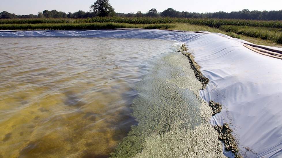 Eveneens achter de stal zijn de eerste 2 van de zeven eendenkroosvijvers aangelegd. In totaal wil Kroes buiten totaal 1,5 ha vijvers aanleggen.