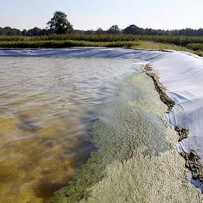 Eveneens achter de stal zijn de eerste 2 van de zeven eendenkroosvijvers aangelegd. In totaal wil Kroes buiten totaal 1,5 ha vijvers aanleggen.