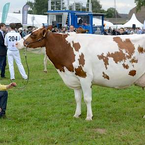 Roodbont kampioene oudere koeien Gasthuis Suzanne (V: Konvoy) van veehouderij Van Buren uit  Leerbroek.