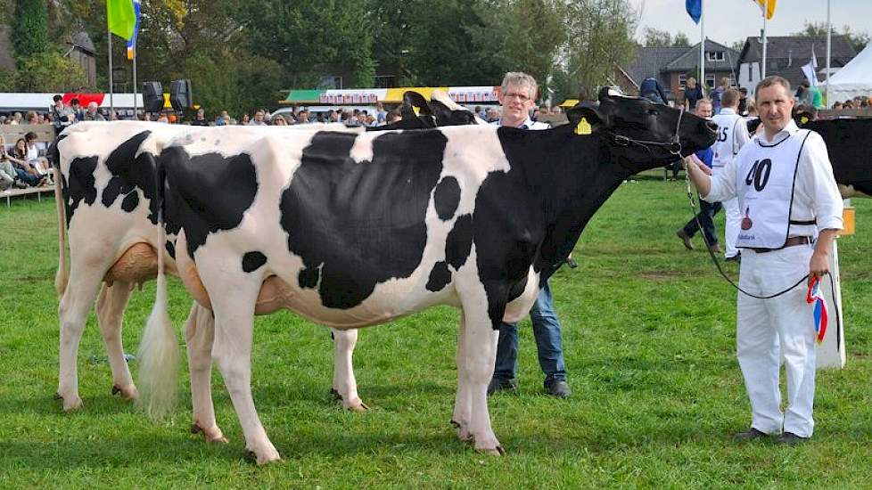 Vaarzenkampioene Bons Holsteins Ella 186 (V: Laurin).