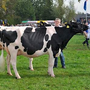 Vaarzenkampioene Bons Holsteins Ella 186 (V: Laurin).