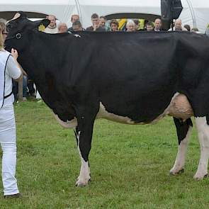 Middenklasse kampioene zwartbont Bons Holsteins Koba 191 (V: Jasper).