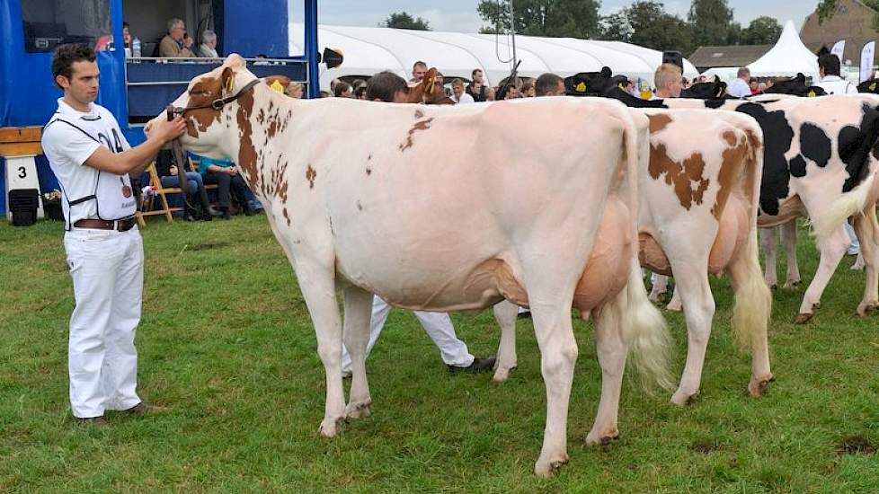 Vaarzenkampioene roodbont  Bons Holsteins Aaltje 93 (V: Savard, MV Classic).