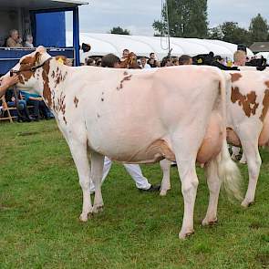 Vaarzenkampioene roodbont  Bons Holsteins Aaltje 93 (V: Savard, MV Classic).