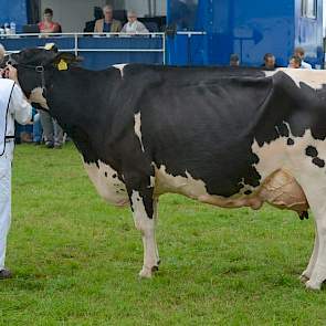 Reservekampioene Wilhelmina 358 (V:Ked Juror) van Teus van Dijk uit Giessenburg.