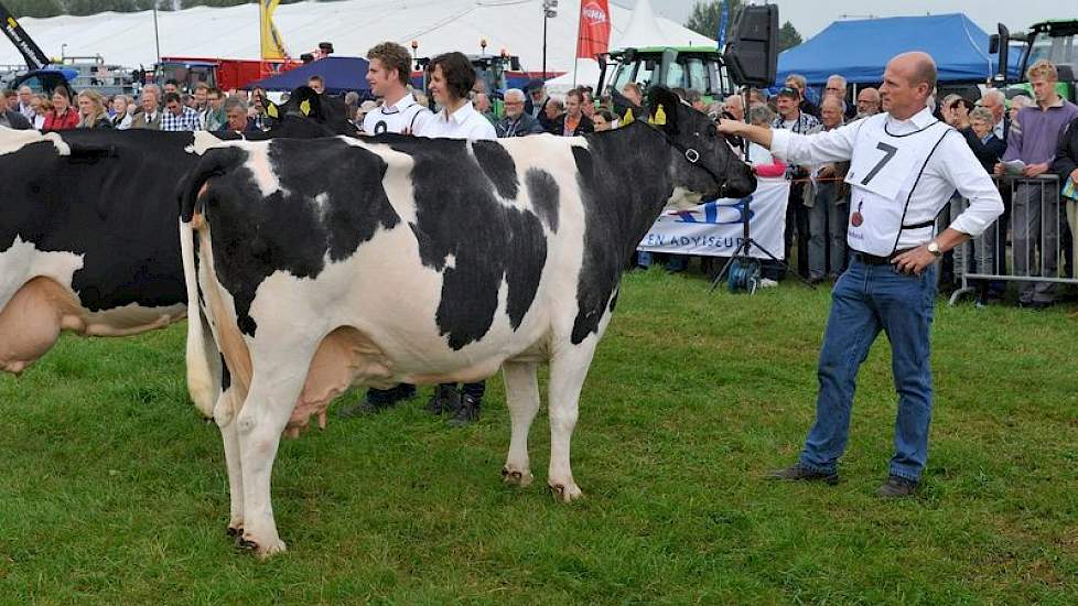 De oude koeien staan nog te wachten op hun uitslag. Op de voorgrond de droogstaande honderdtonner Rejah 4071 (v. Spirando) van Noordman uit Sterksel.