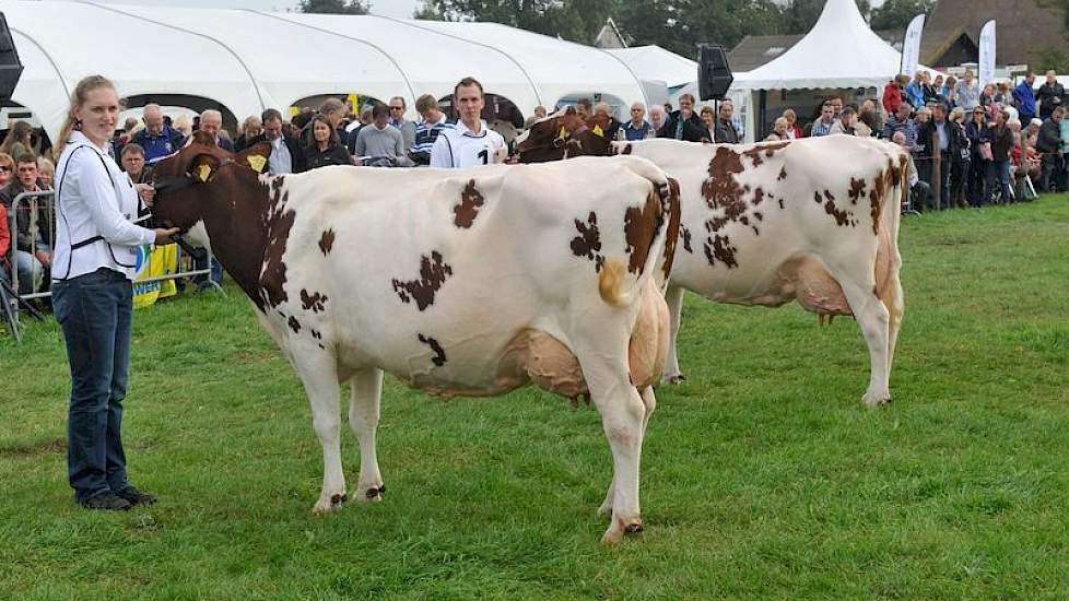 Nogmaals Bontje 138 en Wilma 323.