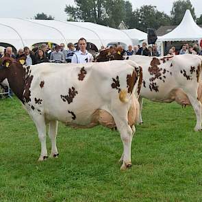 Nogmaals Bontje 138 en Wilma 323.