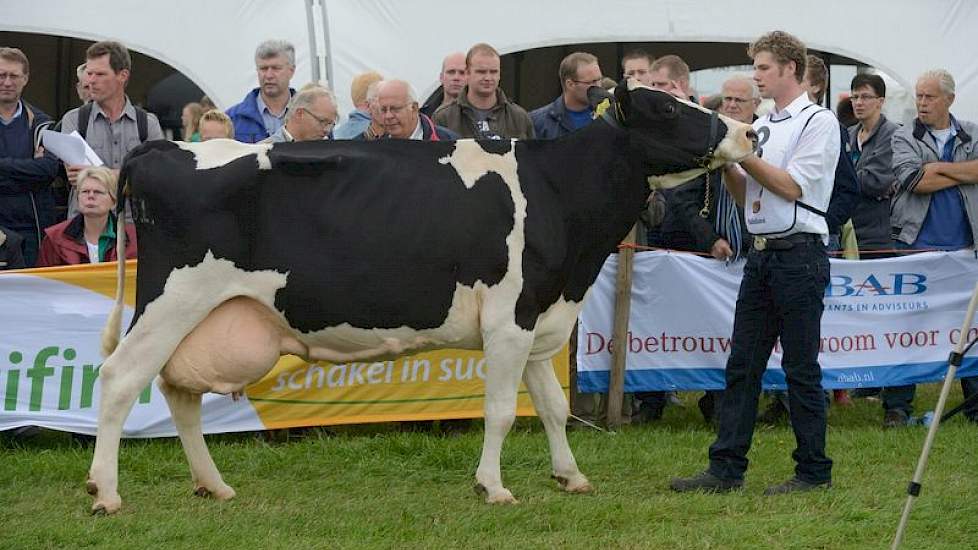 Ook Geertje 422 (v. Lord Lily) van Schouten uit Midwoud had de 100.000 kilo al volgemolken. Ze oogt wat tenger, maar beschikt eveneens over een uitmuntende vruchtbaarheid en uiergezondheid. Voor eiwitpercentage scoort ze met 3,62 procent duidelijk hoger d