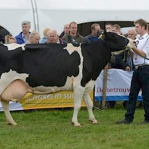 Ook Geertje 422 (v. Lord Lily) van Schouten uit Midwoud had de 100.000 kilo al volgemolken. Ze oogt wat tenger, maar beschikt eveneens over een uitmuntende vruchtbaarheid en uiergezondheid. Voor eiwitpercentage scoort ze met 3,62 procent duidelijk hoger d