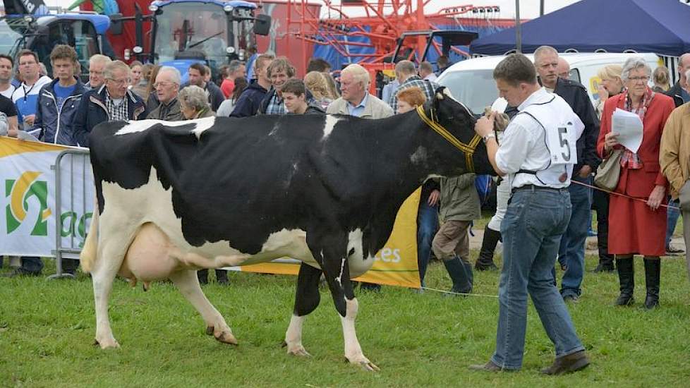 De vruchtbaarheidskampioen was echter Klara 112 van Van der Wal uit Genemuiden. Ze kalfde in september voor de tiende keer en was alle tien keren direct na de eerste inseminatie drachtig geworden.