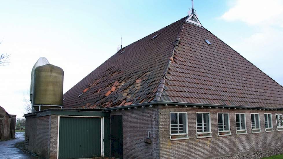 In het Friese Burdaard bleef voor dit bedrijf de schade wat betreft de storm beperkt tot pannen en bloempotten.