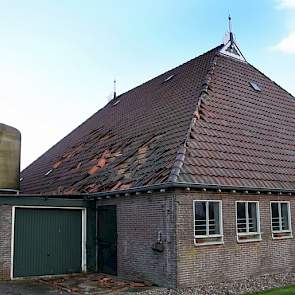 In het Friese Burdaard bleef voor dit bedrijf de schade wat betreft de storm beperkt tot pannen en bloempotten.