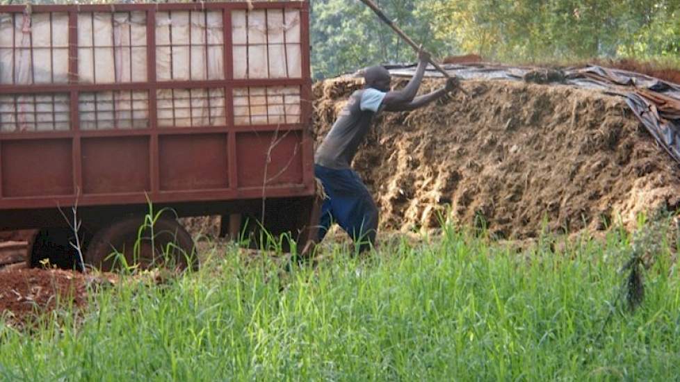 Het grootste probleem van een melkveebedrijf hebben in Kenia is volgens Creemers de voeding  en voedervoorziening. Het klimaat en de bodemkwaliteit zorgen voor een onvergelijkbare situatie met Nederland.  Volgens Creemers is de regio waar hij boert het me