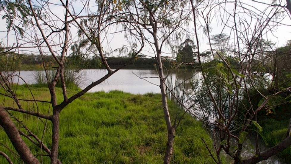 Sinds enkele jaren vangt Creemers daarom het regenwater via sloten op die uitmonden in een groot zelf gegraven waterbassin. Het meer geldt als drinkwater voor hemzelf, de kinderen in het weeshuis, het vee en hij kan er nog 1 hectare land in droogseizoen m