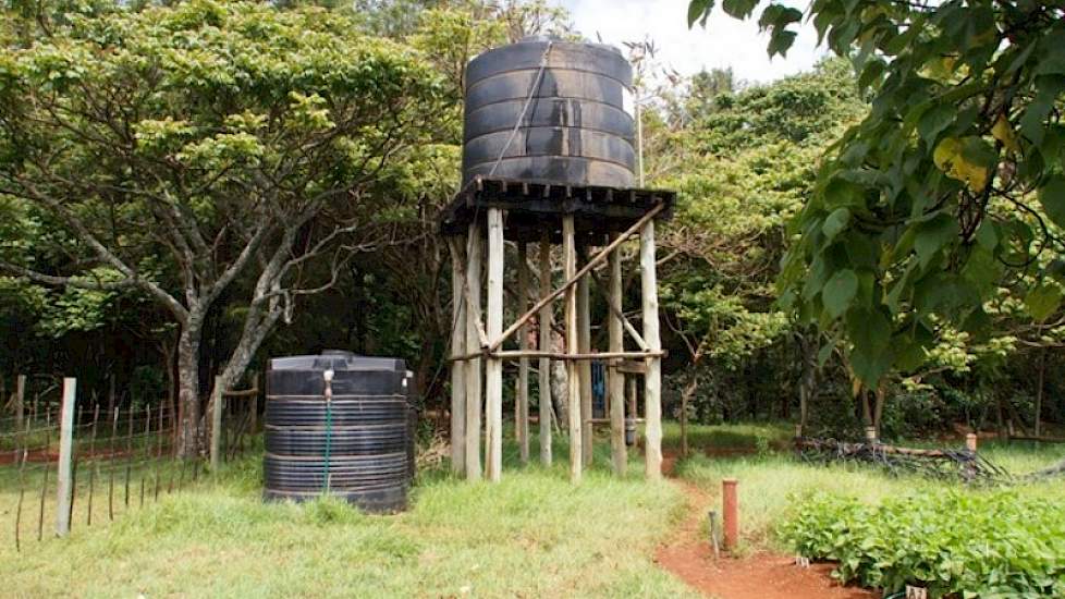 Dagelijks pompt Creemers 40.000 tot 60.000 liter water uit het bassin op. Het drinkwater krijgt een filterbehandeling en er wordt chloor aan toegevoegd.