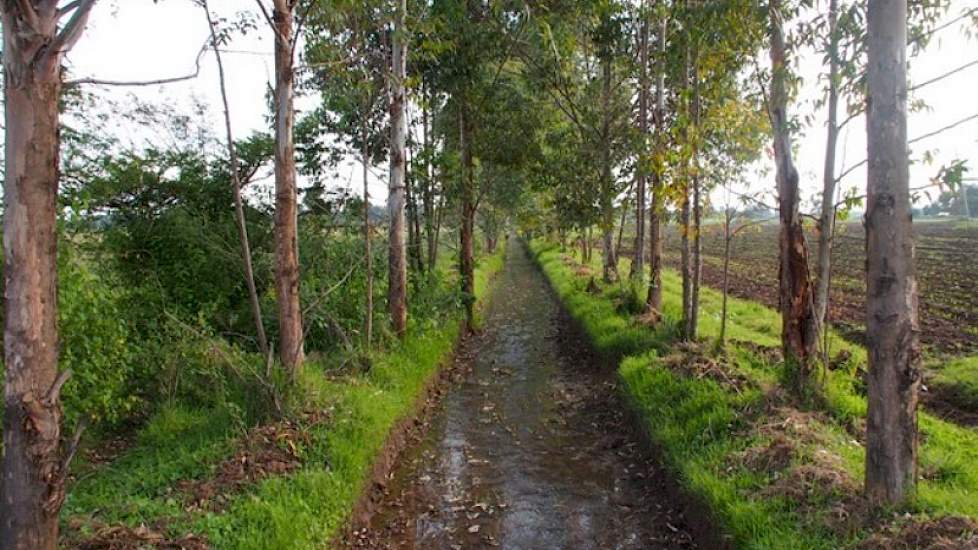 Toch kampt Kenia met meer droogte omdat het regenseizoen van maart tot en met september duurt. In deze periode valt driekwart van de neerslag. Normaal gesproken is in het regenseizoen het grondwaterniveau voldoende op peil. In het droogte seizoen zakt het