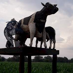 Baraka Farm is geheel afhankelijk van de eigen inkomsten en van donateurs van het weeshuis. Want ook al levert het melkveebedrijf een grote bijdrage aan het weeshuis, zonder donateurs kan het nog niet overleven. Kijk voor meer info op www.lewachildrenshom