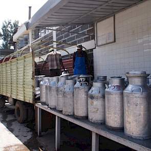 De uitbetaling op alleen liters zorgt volgens Creemers voor het ontbreken van de stimulans om duurdere voedermiddelen in te brengen die een betere balans zouden kunnen geven. Voor hem zelf ligt ook de nadruk op een hogere melkproductie, zodat hij meer kaa