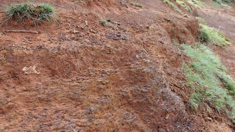 De bodemlaag op de plek waar Creemers boert, bestaat voor de eerste 10 tot 20 centimeter uit een grondmengsel van leem en zand. Daaronder ligt een moeilijk doordringbare laag  lava.