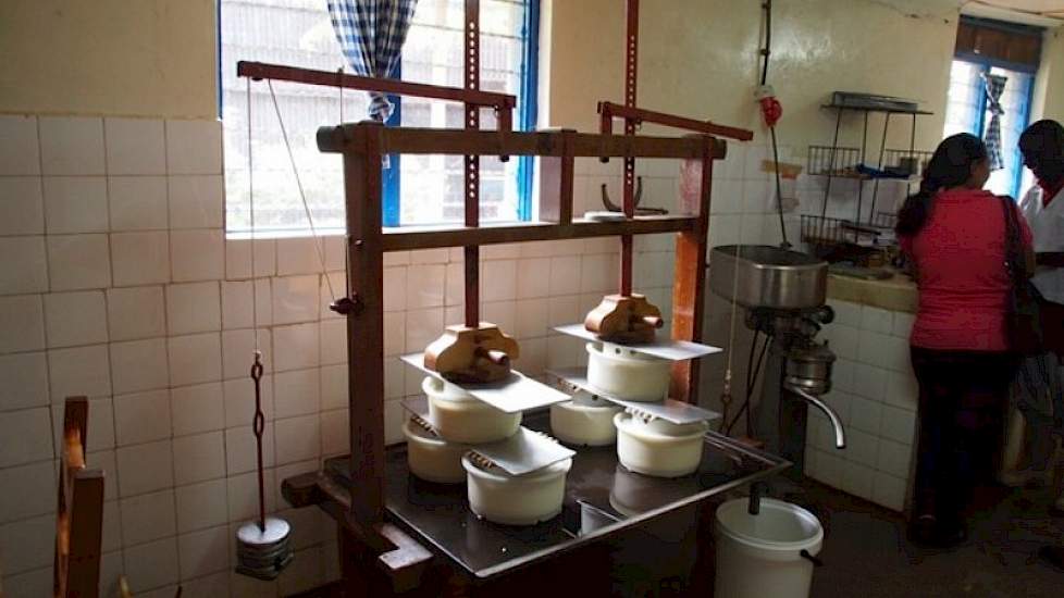 In een zelf verbouwt fabriekje begonnen ze om de melk te verwerken tot Goudse kaas en gefermenteerde melk. Dit laatste is volle melk met de dikte van yoghurt en de smaak van karnemelk.