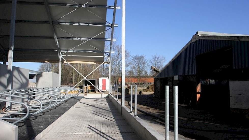 Wanneer de koeien in de nieuwe stal zijn gehuisvest wordt de oude (rechts) afgebroken, en een jongveeafdeling bij de nieuwe stal aangebouwd.