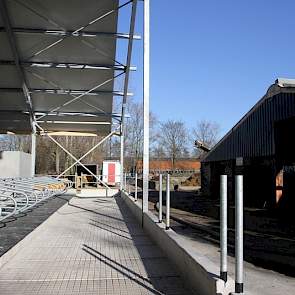 Wanneer de koeien in de nieuwe stal zijn gehuisvest wordt de oude (rechts) afgebroken, en een jongveeafdeling bij de nieuwe stal aangebouwd.