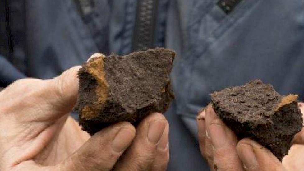 Hier wordt de structuur van de licht leemhoudende zandgrond bekeken. De kluiten zouden in optimale omstandigheden als ronde kluitjes uit elkaar moeten vallen. Hier zijn ze hoekig wat aangeeft dat de structuur nog te verbeteren valt. In tegenstelling tot z