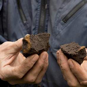 Hier wordt de structuur van de licht leemhoudende zandgrond bekeken. De kluiten zouden in optimale omstandigheden als ronde kluitjes uit elkaar moeten vallen. Hier zijn ze hoekig wat aangeeft dat de structuur nog te verbeteren valt. In tegenstelling tot z