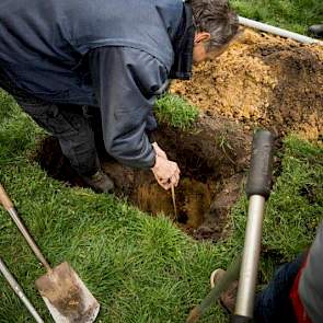 Het grondwater wordt gepeild op 170 cm. In deze humusarme zandgrond is daarom ook nu al geen sprake meer van capillaire werking. De plant heeft dus geen profijt van het aanwezige grondwater.