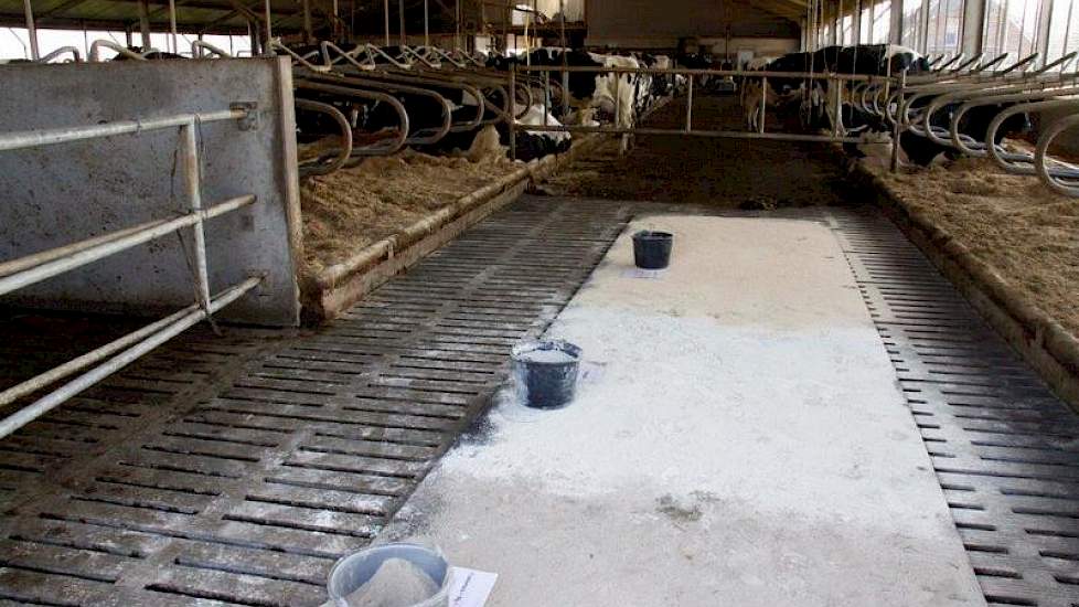 Op een koematras die over de roosters is uitgerold, zijn de verschillende strooiselproducten uitgestrooid. Vooraan is Comfortmix plus Mg+, in het midden ligt Clinomin en achteraan Comfortmix zaagsel.