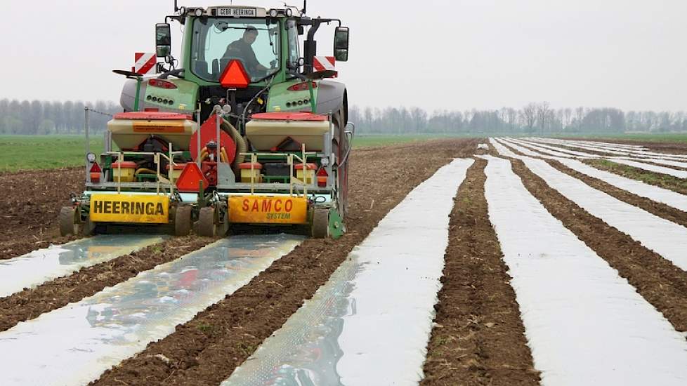 Het grote voordeel van het onder folie zaaien zou zijn een hogere meeropbrengst en hogere kwaliteit mais. Zelf houdt Snoei echter een slag om de arm; „We hebben, na allerlei proeven te hebben gedaan, gezegd dat we alleen laatrijpe rassen gebruiken. Dus da