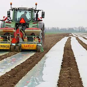 Het grote voordeel van het onder folie zaaien zou zijn een hogere meeropbrengst en hogere kwaliteit mais. Zelf houdt Snoei echter een slag om de arm; „We hebben, na allerlei proeven te hebben gedaan, gezegd dat we alleen laatrijpe rassen gebruiken. Dus da