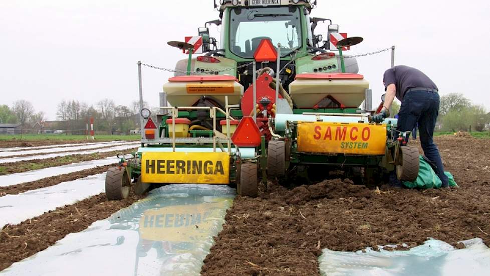 Volgens Albert Snoei van De Samenwerking moet de kosten gedekt worden door een hogere opbrengst. „De folie kost 300 euro per hectare, daar komt het transport van de dieplader nog bij. Met gemiddeld 10 ton hogere opbrengst per hectare, ter waarde van 70 eu