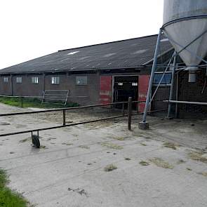 De kunstmestsilo wordt gebruikt voor gedroogde bietenpulp. Dit is een lokbrok voor in de melkstal, waar ze ongeveer 2 kilo per dag van krijgen. Pulp is het enige krachtvoer wat in dit concept gevoerd mag worden.