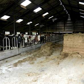 In de stal wordt heel beperkt wat kuil bijgevoerd. Volgens de veehouder is dit ongeveer 5 procent van het rantsoen en is vooral bedoelt als structuuraanvulling.