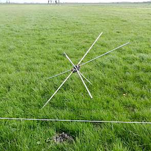 Komende jaren zullen alle percelen met het mengsel worden inzaaid. Er wordt geweid volgens stripgrazing, wat betekent dat de koeien meerdere keren per dag een nieuw stuk krijgen om te grazen.