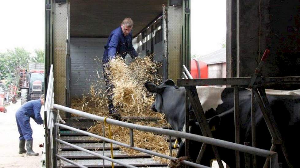 Eerst wat stro in de wagen.