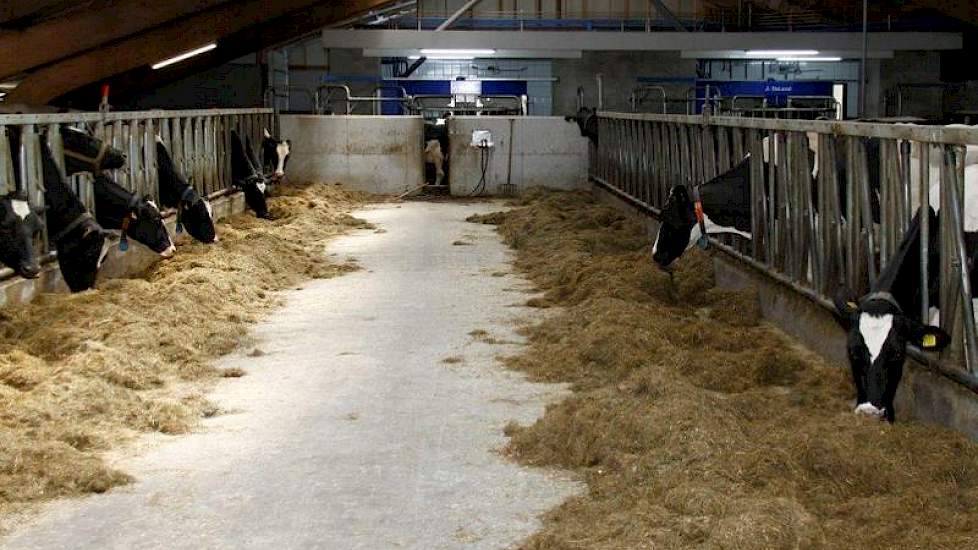 Tijdens de verbouwing van de bestaande melkstal werd er gemolken met 2 VMS-robots in een noodopstelling achter in de stal. Inmiddels staan die op de plaats waar vroeger de melkstal zat.