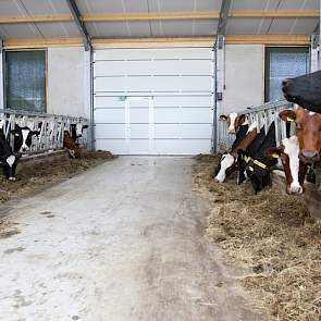 Het melkvee is een bonte mix van kruislingen: MRIJ x Holstein en later werden daar nog Brown Swiss en Montbéliarde bij ingekruist. 'Ik houd wel van een beetje afwisseling in de stal', geeft Fuchs aan.