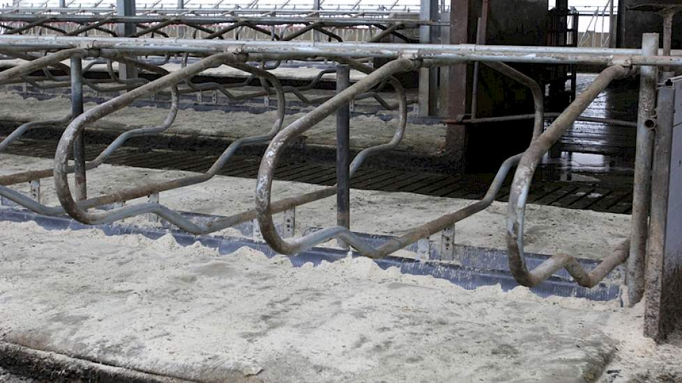 De ruime vrijligboxen met als boxbedekking de pasture koematras van Cowhouse, zijn gekozen vanwege de oude maatvoering. De buitenste rij ligboxen en tegen de achtermuur, zijn wel aangepast naar moderne maten.