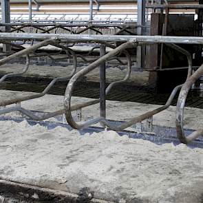 De ruime vrijligboxen met als boxbedekking de pasture koematras van Cowhouse, zijn gekozen vanwege de oude maatvoering. De buitenste rij ligboxen en tegen de achtermuur, zijn wel aangepast naar moderne maten.