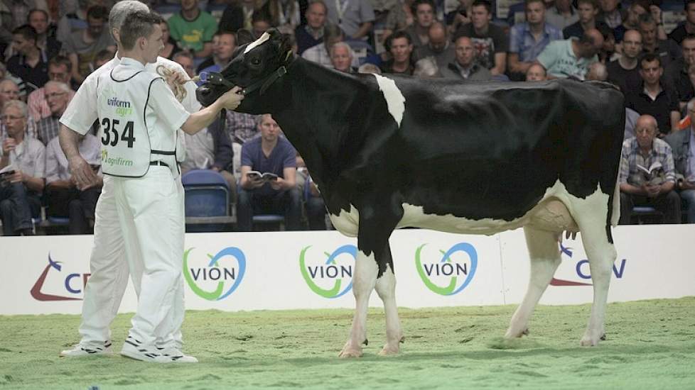 Goldmar-dochter Rijster Harmke 12 (eigenaar Mts. T.S. & Y. Bruinsma-Strikwerda, Lollum)